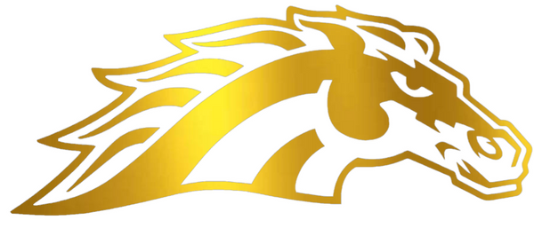 Western Michigan Broncos GOLD CHROME MIRROR Mascot Logo Premium DieCut Vinyl Decal PICK SIZE