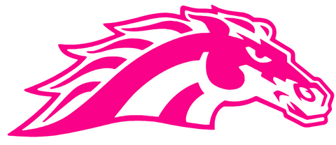 Western Michigan Broncos Hot Pink Mascot Logo Premium DieCut Vinyl Decal PICK SIZE