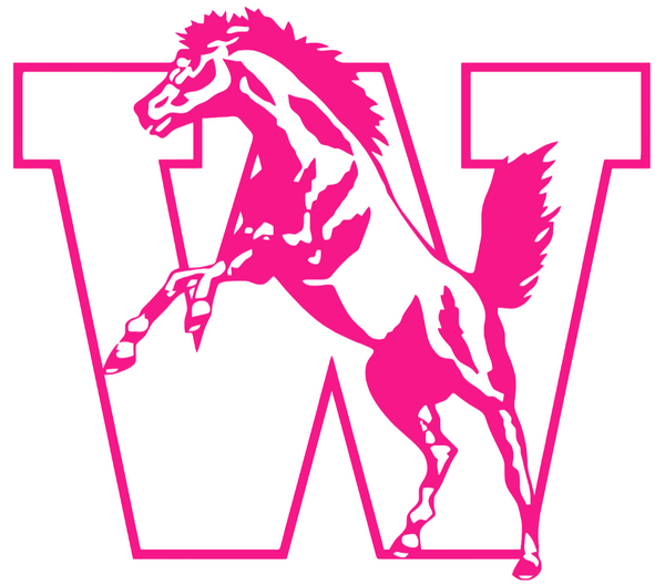 Western Michigan Broncos Hot Pink Retro Throwback Logo Premium DieCut Vinyl Decal PICK SIZE