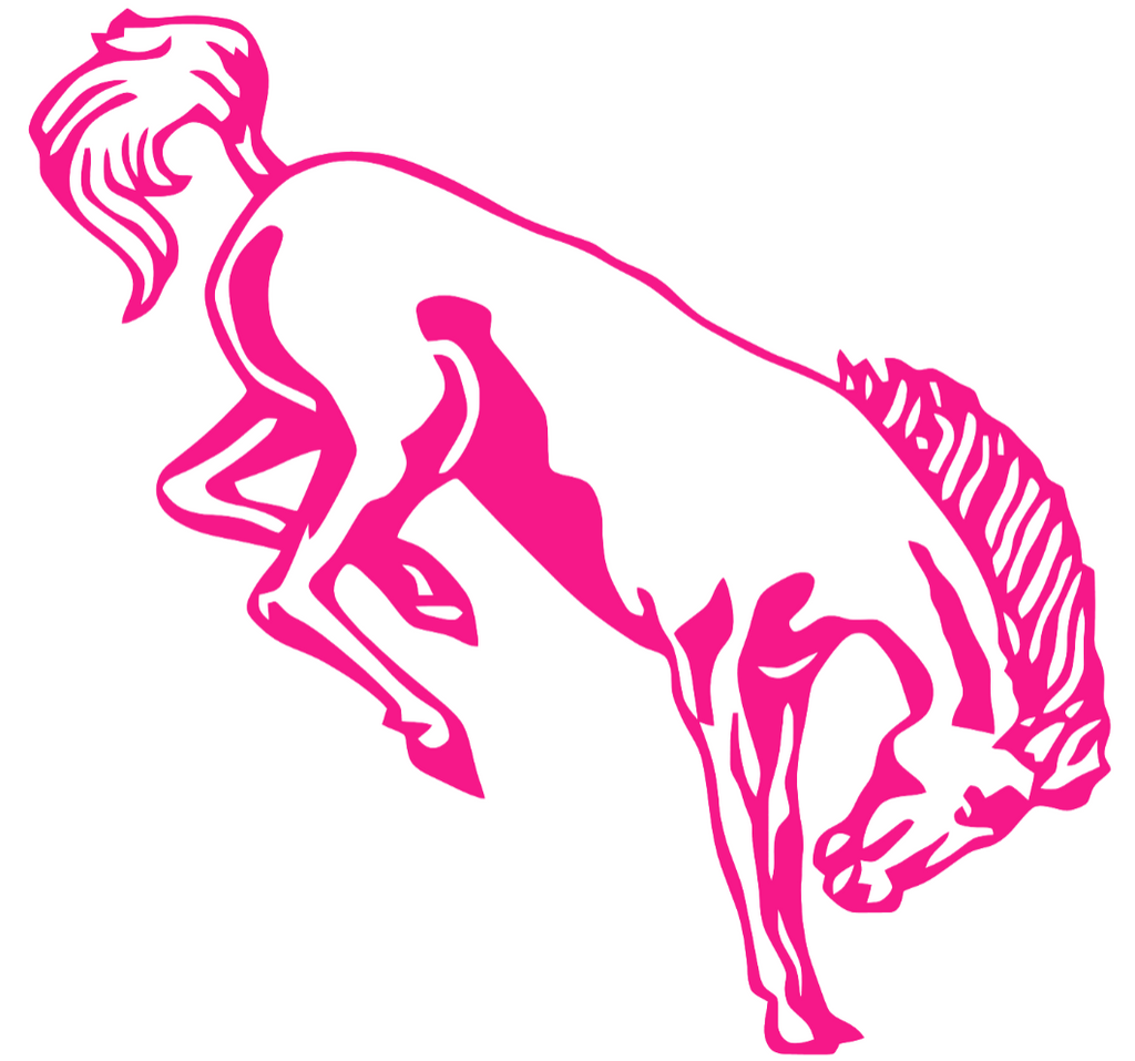 Western Michigan Broncos Hot Pink Retro Throwback Logo Premium DieCut Vinyl Decal PICK SIZE