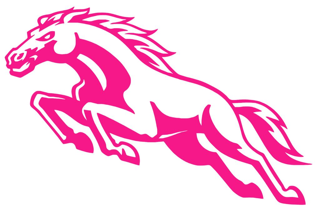 Western Michigan Broncos Hot Pink Retro Throwback Logo Premium DieCut Vinyl Decal PICK SIZE