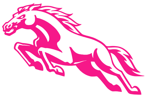 Western Michigan Broncos Hot Pink Retro Throwback Logo Premium DieCut Vinyl Decal PICK SIZE