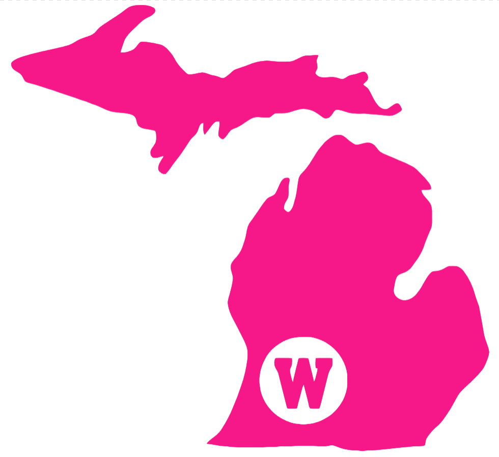 Western Michigan Broncos Hot Pink Alternate State Logo Premium DieCut Vinyl Decal PICK SIZE