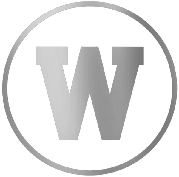 Western Michigan Broncos SILVER CHROME MIRROR Team Logo Premium DieCut Vinyl Decal PICK SIZE
