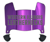 Western Illinois Leathernecks Mini Football Helmet Visor Shield w/ Clips - PICK VISOR & LOGO COLOR