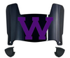 Western Illinois Leathernecks Mini Football Helmet Visor Shield w/ Clips - PICK VISOR & LOGO COLOR
