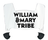 William & Mary Tribe Mini Football Helmet Visor Shield w/ Clips - PICK VISOR & LOGO COLOR