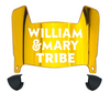 William & Mary Tribe Mini Football Helmet Visor Shield w/ Clips - PICK VISOR & LOGO COLOR