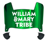 William & Mary Tribe Mini Football Helmet Visor Shield w/ Clips - PICK VISOR & LOGO COLOR