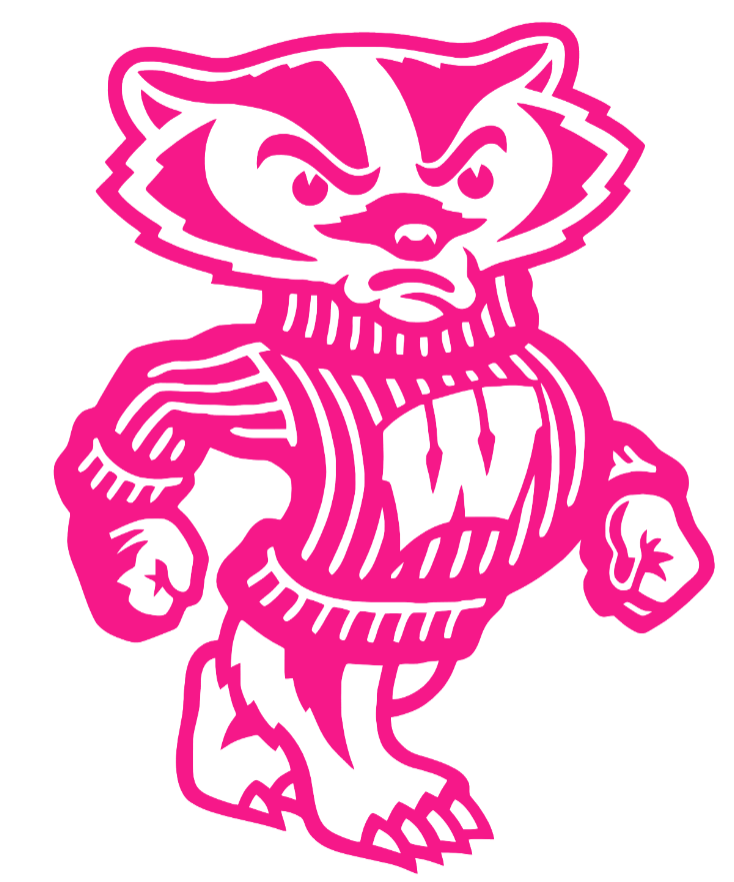 Wisconsin Badgers Hot Pink Bucky Mascot Logo Premium DieCut Vinyl Decal PICK SIZE