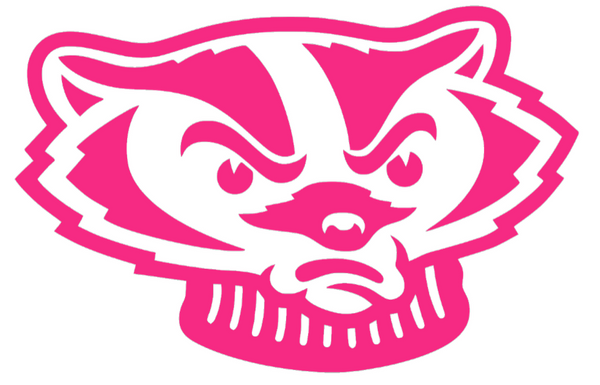 Wisconsin Badgers HOT PINK Bucky Mascot Head Logo Premium DieCut Vinyl Decal PICK SIZE