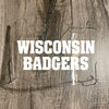 Wisconsin Badgers Full Size Football Helmet Visor Shield w/ Clips - PICK VISOR & LOGO COLOR