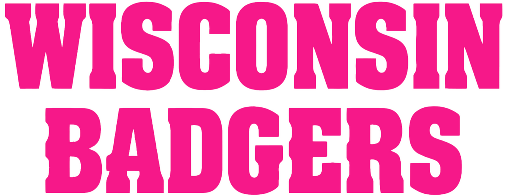 Wisconsin Badgers Hot Pink Team Name Logo Premium DieCut Vinyl Decal PICK SIZE