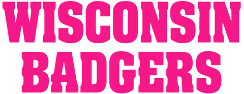 Wisconsin Badgers Hot Pink Team Name Logo Premium DieCut Vinyl Decal PICK SIZE