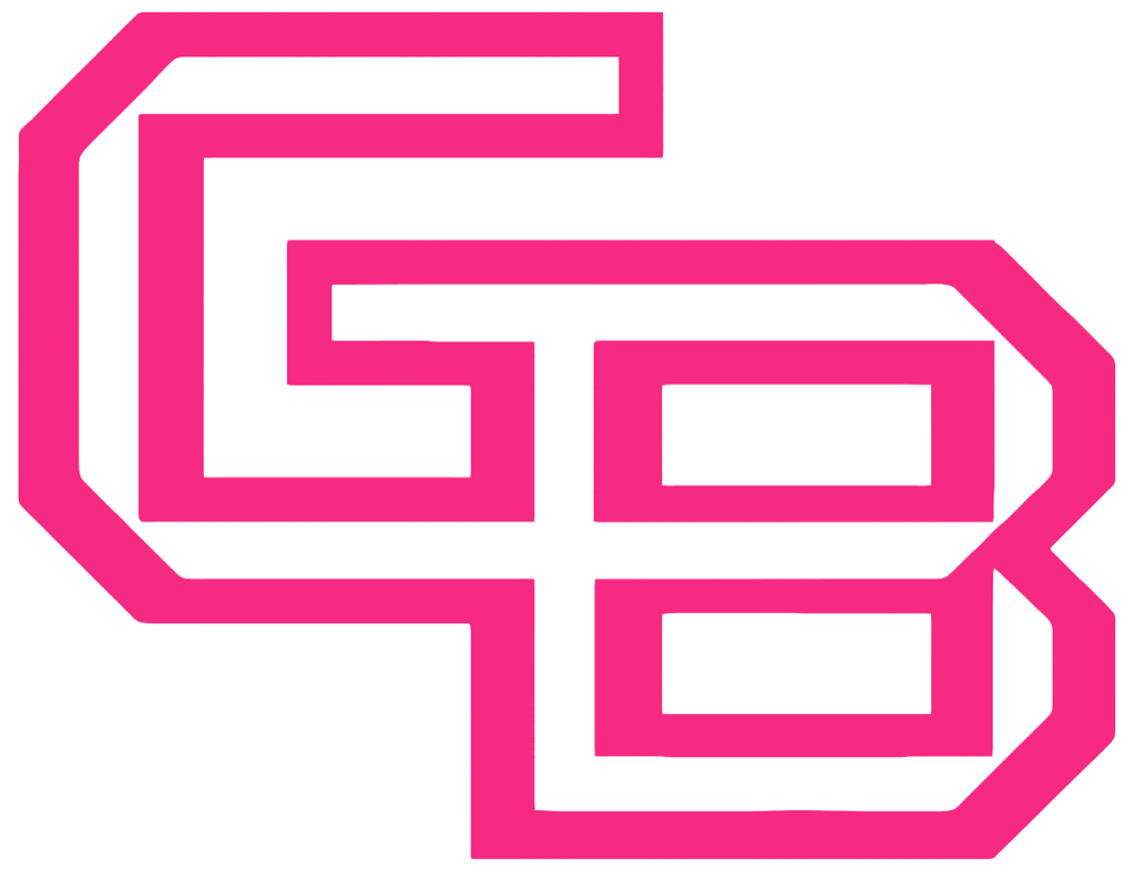 Wisconsin Green Bay Phoenix HOT PINK Team Logo Premium DieCut Vinyl Decal PICK SIZE