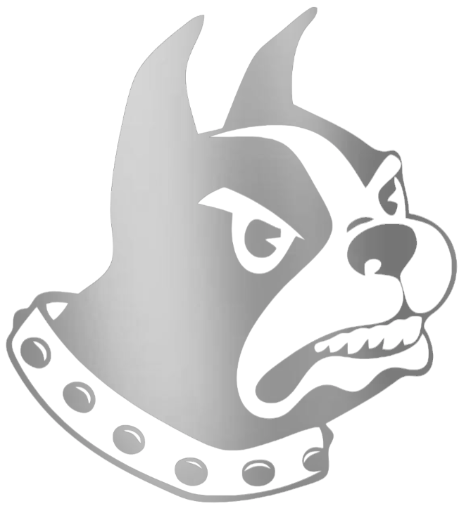 Wofford Terriers SILVER CHROME MIRROR Team Logo Premium DieCut Vinyl Decal PICK SIZE