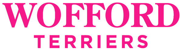 Wofford Terriers Hot Pink Team Name Logo Premium DieCut Vinyl Decal PICK SIZE