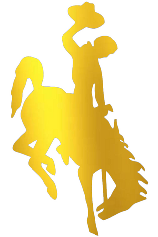 Wyoming Cowboys GOLD CHROME MIRROR Team Logo Premium DieCut Vinyl Decal PICK SIZE