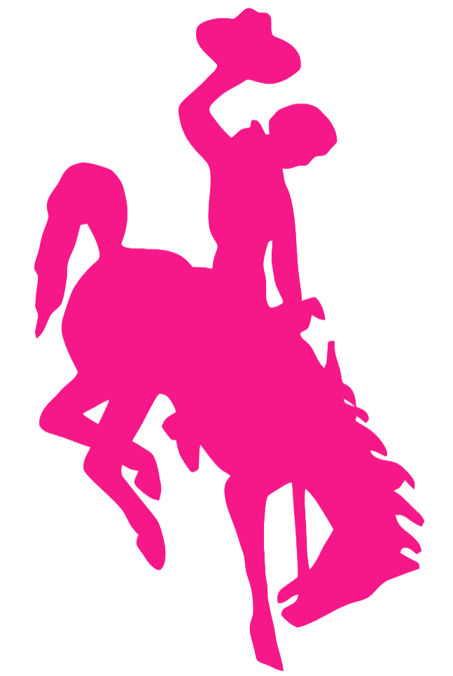Wyoming Cowboys Hot Pink Team Logo Premium DieCut Vinyl Decal PICK SIZE
