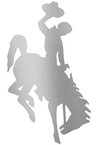 Wyoming Cowboys SILVER CHROME MIRROR Team Logo Premium DieCut Vinyl Decal PICK SIZE