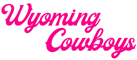 Wyoming Cowboys Hot Pink Script Team Name Logo Premium DieCut Vinyl Decal PICK SIZE