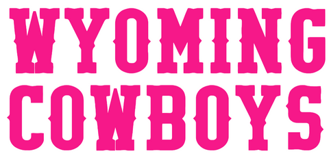 Wyoming Cowboys Hot Pink Team Name Logo Premium DieCut Vinyl Decal PICK SIZE