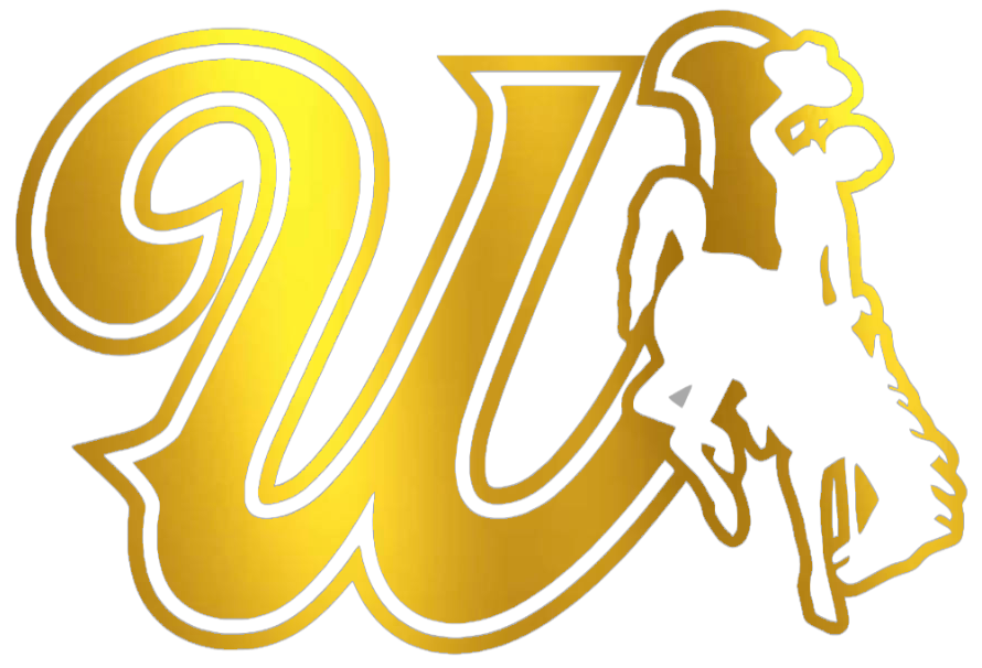Wyoming Cowboys GOLD CHROME MIRROR W Logo Premium DieCut Vinyl Decal PICK SIZE