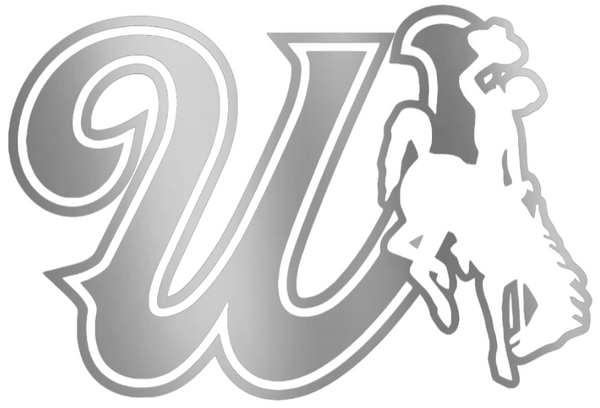Wyoming Cowboys SILVER CHROME MIRROR W Logo Premium DieCut Vinyl Decal PICK SIZE