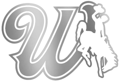 Wyoming Cowboys SILVER CHROME MIRROR W Logo Premium DieCut Vinyl Decal PICK SIZE