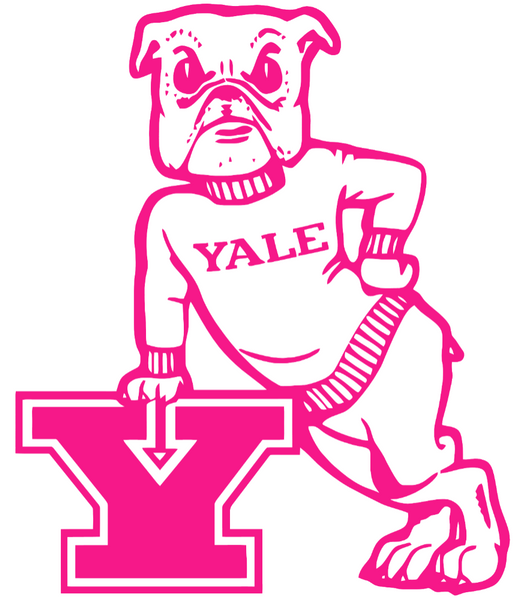 Yale Bulldogs Hot Pink Alternate Logo Premium DieCut Vinyl Decal PICK SIZE