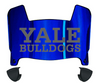 Yale Bulldogs Mini Football Helmet Visor Shield w/ Clips - PICK VISOR & LOGO COLOR