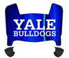 Yale Bulldogs Mini Football Helmet Visor Shield w/ Clips - PICK VISOR & LOGO COLOR