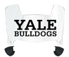 Yale Bulldogs Mini Football Helmet Visor Shield w/ Clips - PICK VISOR & LOGO COLOR