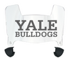 Yale Bulldogs Mini Football Helmet Visor Shield w/ Clips - PICK VISOR & LOGO COLOR