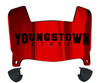 Youngstown State Penguins Mini Football Helmet Visor Shield w/ Clips - PICK VISOR & LOGO COLOR