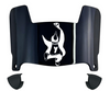 Youngstown State Penguins Mini Football Helmet Visor Shield w/ Clips - PICK VISOR & LOGO COLOR