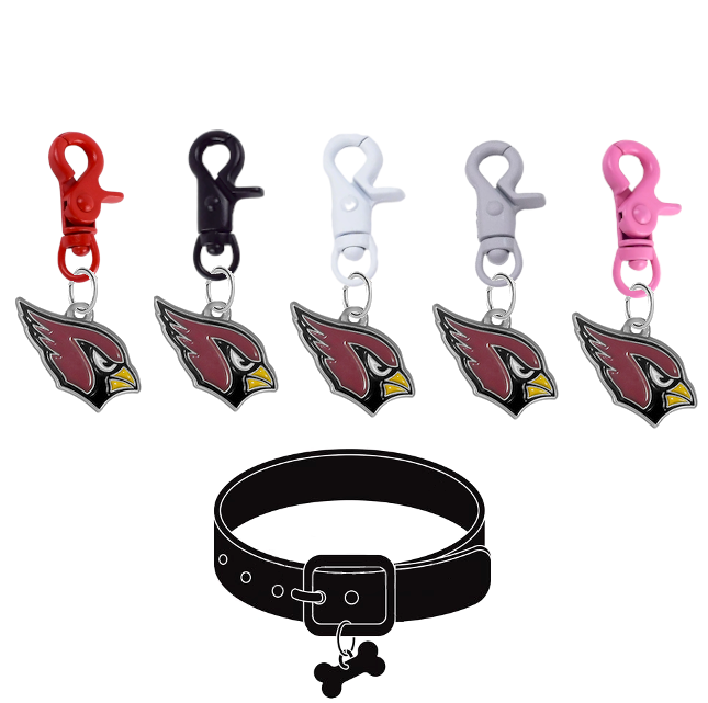 Arizona Cardinals NFL COLOR EDITION Pet Tag Collar Charm