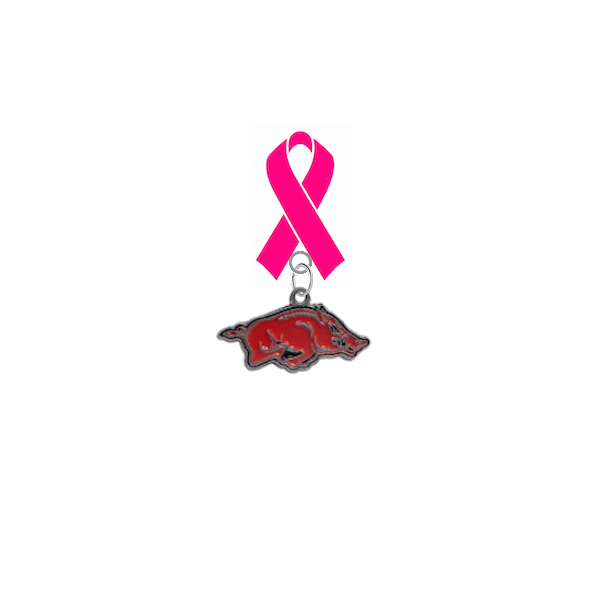 Arkansas Razorbacks Breast Cancer Awareness / Mothers Day Pink Ribbon Lapel Pin