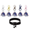 Boise State Broncos NCAA Pet Tag Dog Cat Collar Charm