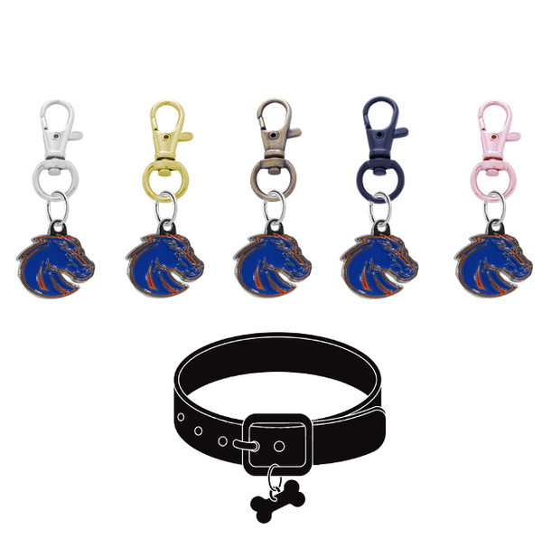 Boise State Broncos 2 NCAA Pet Tag Dog Cat Collar Charm