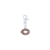 Chicago Bears NFL COLOR EDITION White Pet Tag Collar Charm