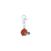 Cleveland Browns NFL COLOR EDITION White Pet Tag Collar Charm