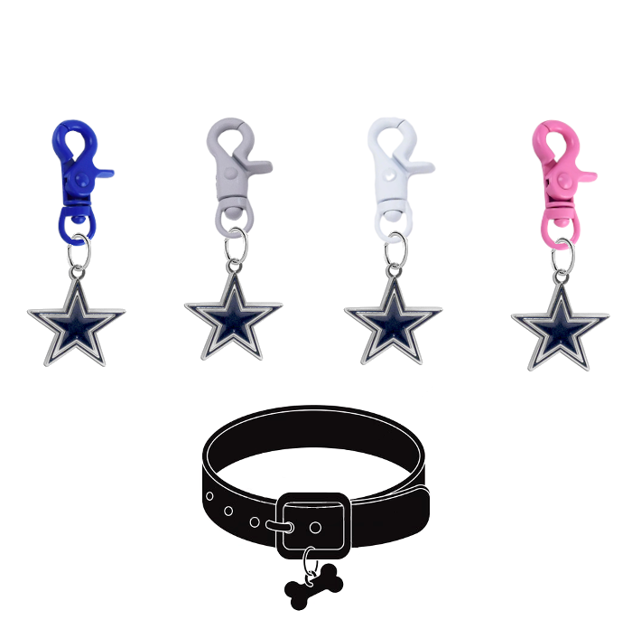 Dallas Cowboys NFL COLOR EDITION Pet Tag Collar Charm