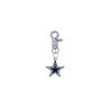 Dallas Cowboys NFL COLOR EDITION Gray Pet Tag Collar Charm