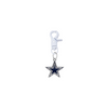 Dallas Cowboys NFL COLOR EDITION White Pet Tag Collar Charm