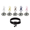 Green Bay Packers NFL Pet Tag Dog Cat Collar Charm