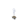 Jacksonville Jaguars NFL COLOR EDITION White Pet Tag Collar Charm