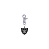 Oakland Raiders NFL COLOR EDITION Gray Pet Tag Collar Charm