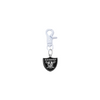 Oakland Raiders NFL COLOR EDITION White Pet Tag Collar Charm