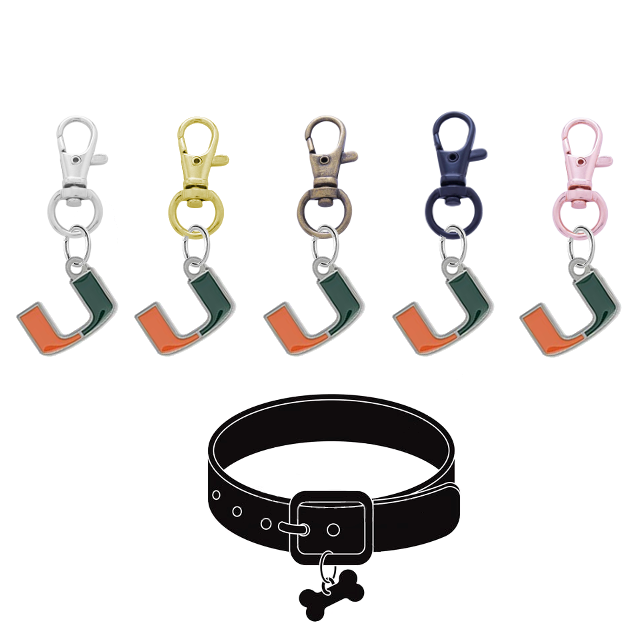 Miami Hurricanes NCAA Pet Tag Dog Cat Collar Charm